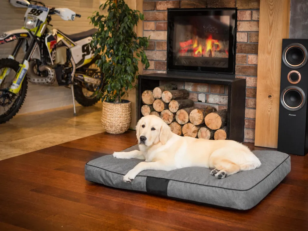 Materasso Cane 90x70 Standard Pillowprim | Resistente e Lavabile - 2
