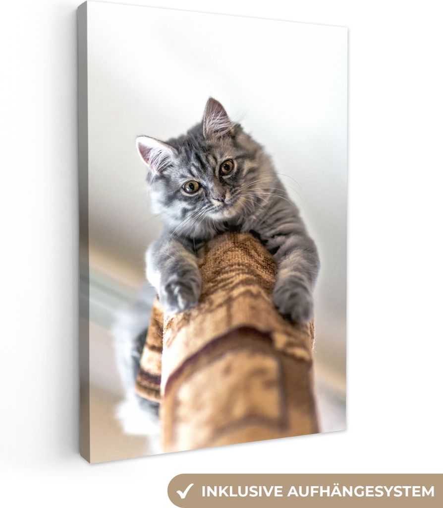 OneMillionCanvasses - Leinwandbilder - 90x140 cm, Katze - Kratzbaum - Grau, Wandbilder Kunstdruck Wanddekoration - Wandschmucke - Schlafzimmer