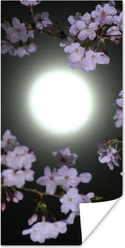 MuchoWow Poster Mond - Schwarz - Blüte 60x120 cm - Wandschmuck