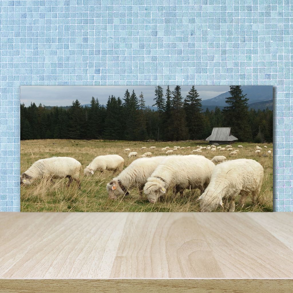 Tulup Küchenrückwand Spritzschutz aus Glas -100x50 -Spritzschutz auf gehärtetes GlasDeko Tiere Schafe
