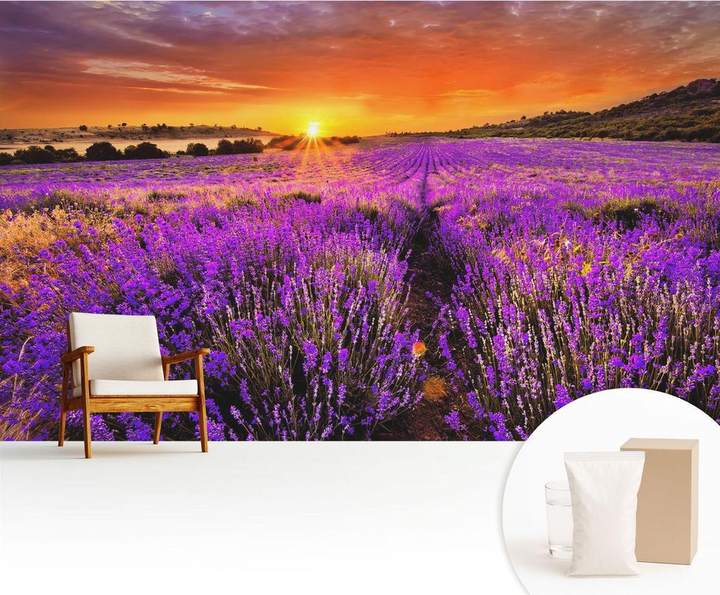 Fototapete - 416x254 cm - Tapete - Wandtapete - Wandbilder - Dekofolie - Tapete Folie - Wand - Dekoration - Wohnzimmer - Lavendel-Sonnenuntergang