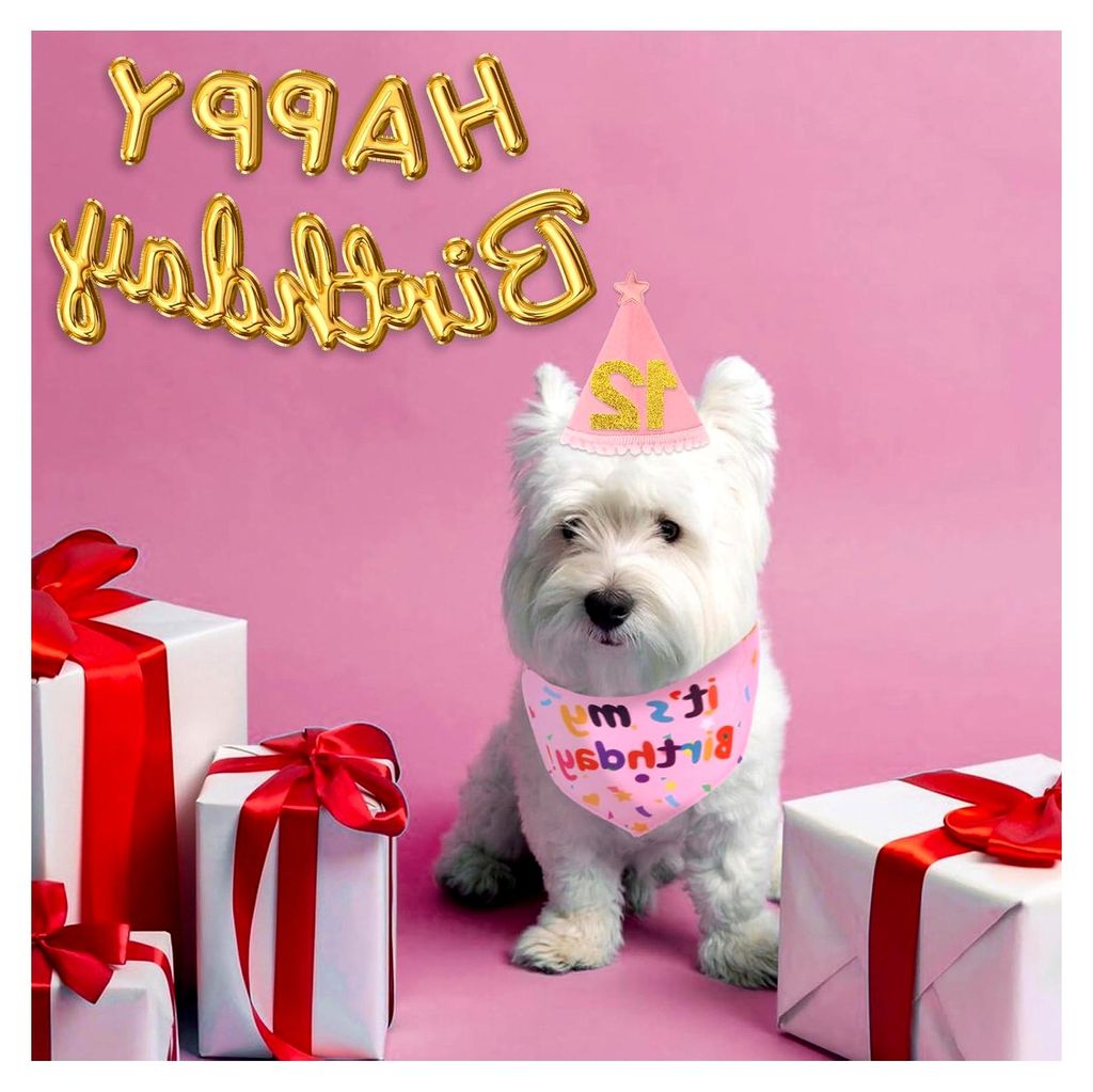 Rosa Hundegeburtstags-Hut und Bandana Set mit 8 Bling Zahlen
