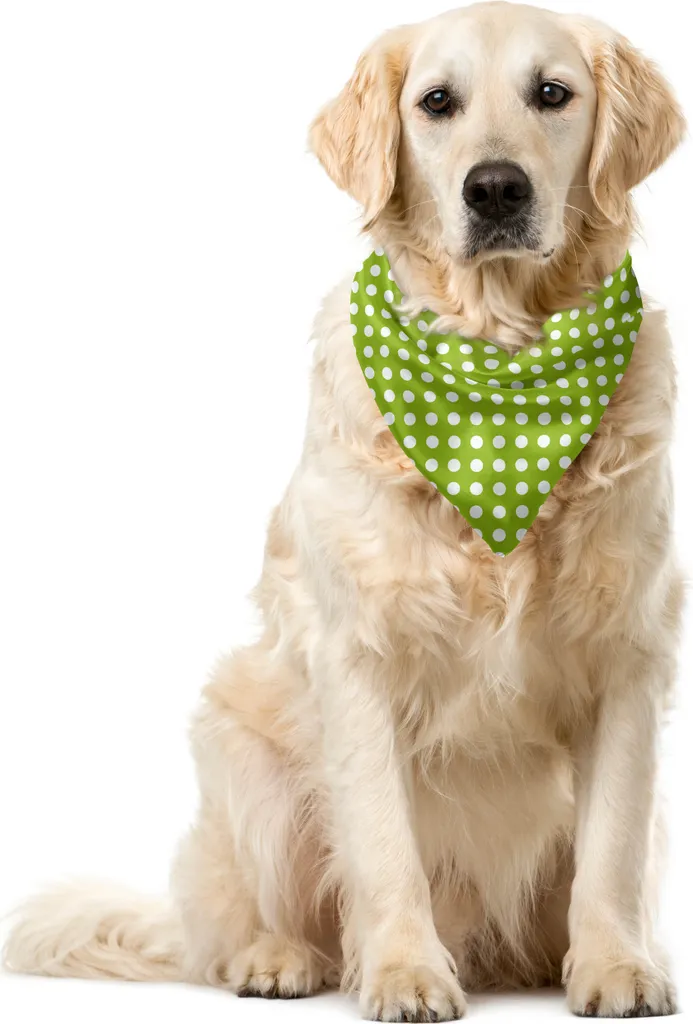 Bandana per Animali ABAKUHAUS 55x55 cm Stile Vintage Verde Lime