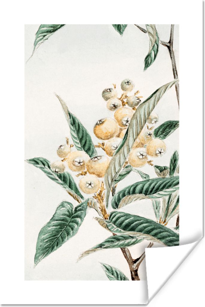 MuchoWow Poster Blätter - Beere - Vintage - Japanisch 80x120 cm - Papierdruck