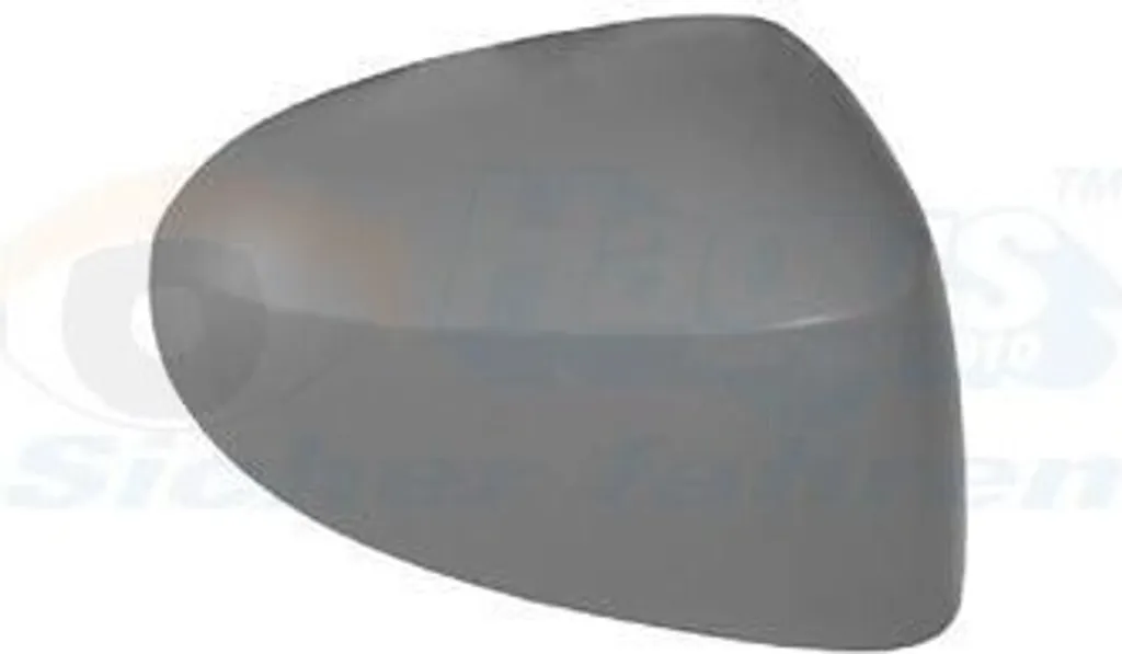 Réparer rétroviseur droit RENAULT MODUS avec la coque VAN WEZEL 4367844