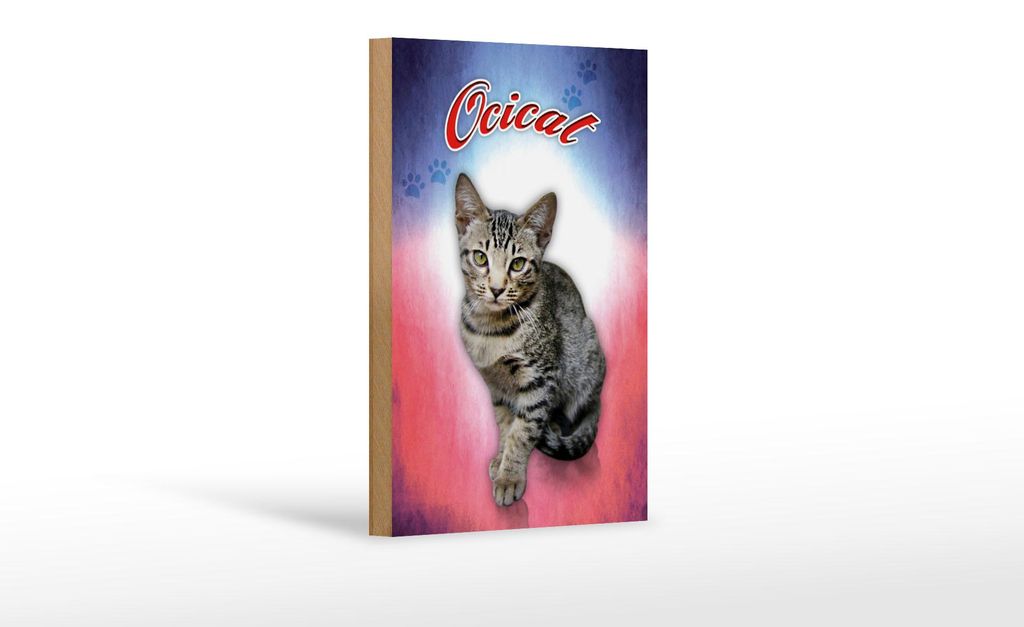 Holzschild Katze 18x12cm Ocicat Wanddeko Produktbild 