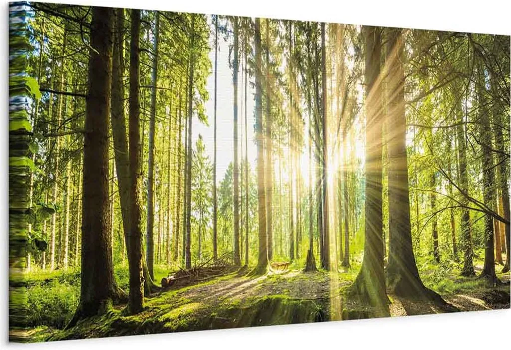 Quadro in tessuto non tessuto - Luce del giorno 135x45 cm Paesaggi c-B-0077-b-b