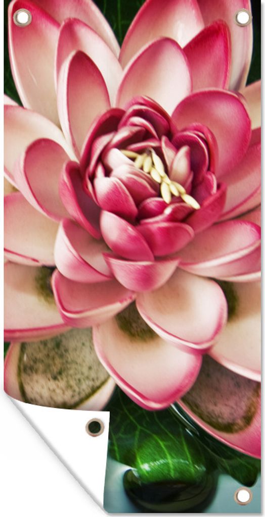 MuchoWow 40x80 cm Outdoor-Poster Gartendeko Sichtschutz Garten Poster für den Garten Ein Koi-Karpfen mit einer rosa Blume