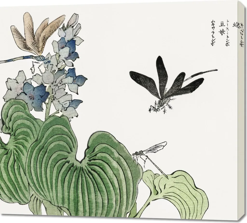 Arte Giapponese Vintage: Quadro Libellula Morimoto Toko 100x90 cm