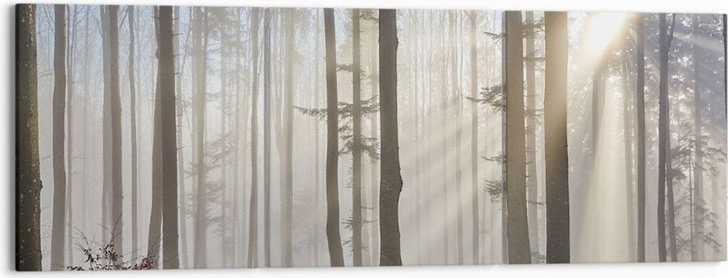 Bild auf Leinwand - Leinwandbild - Wald Baum Natur - 150x50cm - Wand Bild - Wanddeko - Wandbilder - Leinwanddruck - Bilder - Kunstdruck - Wanddekor...
