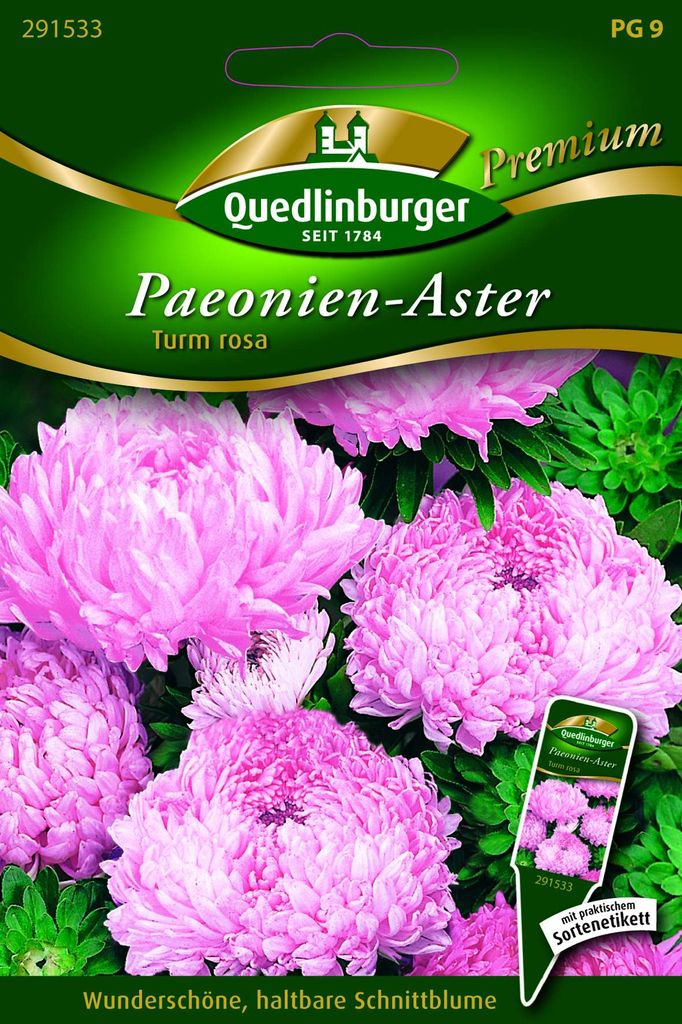 Paeonien-Astern Turm rosa von Quedlinburger Saatgut | Produktbild 