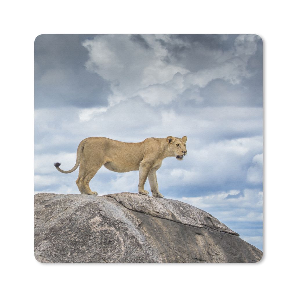 MuchoWow Mauspad Mousepad Löwe - Jagd - Fels 20x20 cm - Mousepads - Maus Mat - Pad - Mausunterlage - Desk Mat - Bureauartikeln