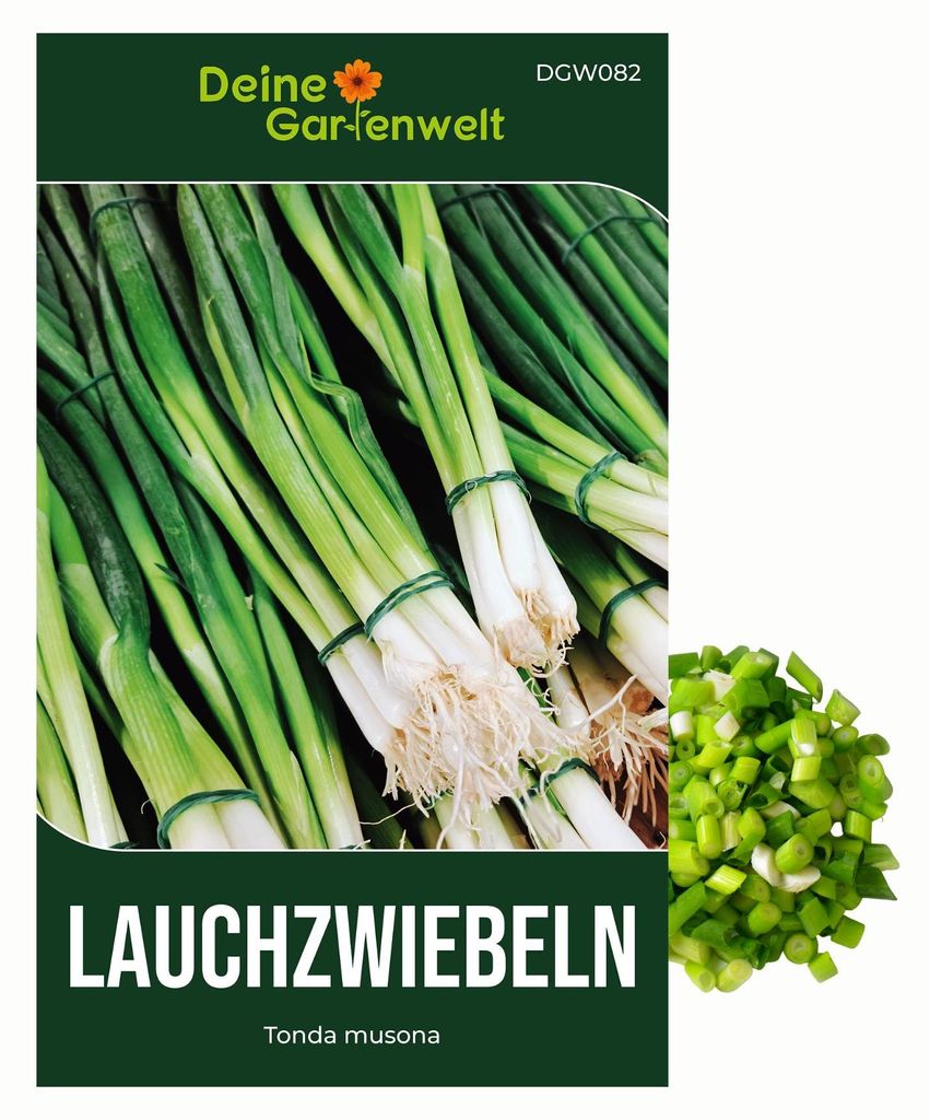 Lauchzwiebeln Tonda musona Samen - Allium cepa - Produktbild 