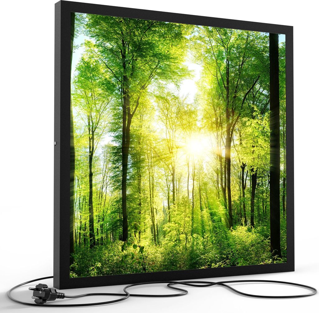DEQORI LED-Bild & Lampe 60x60 cm Schwarz 'Sonne durchbricht Wald' Leuchtbild LED Leuchte