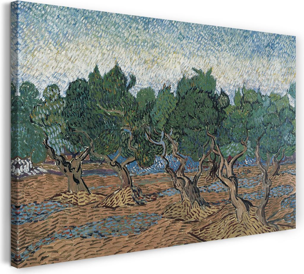 Leinwandbild (60x40cm): Vincent van Gogh - Oliven-Hain, echter Holz-Keilrahmen inkl. Aufhänger, handgefertigt in Deutschland