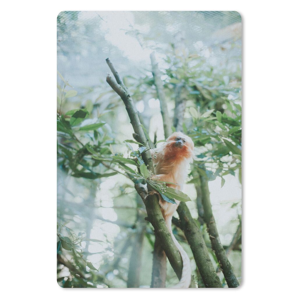 MuchoWow Mauspad Mousepad Zwergseidenäffchen im Baum 40x60 cm - Mousepads - Maus Mat - Pad - Mausunterlage - Schreibtisch Accesoire