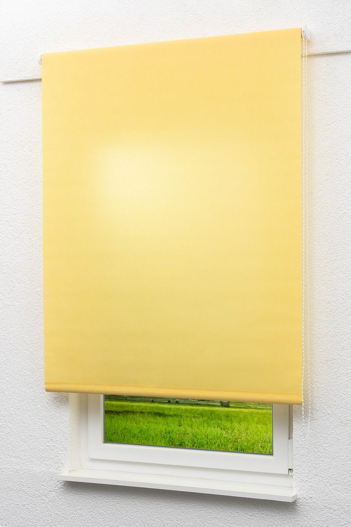 Lysel Outlet - Basisrollo Tageslicht Pastellgelb, (B x H) 152.50cm x 190cm in gelb/pastellgelb