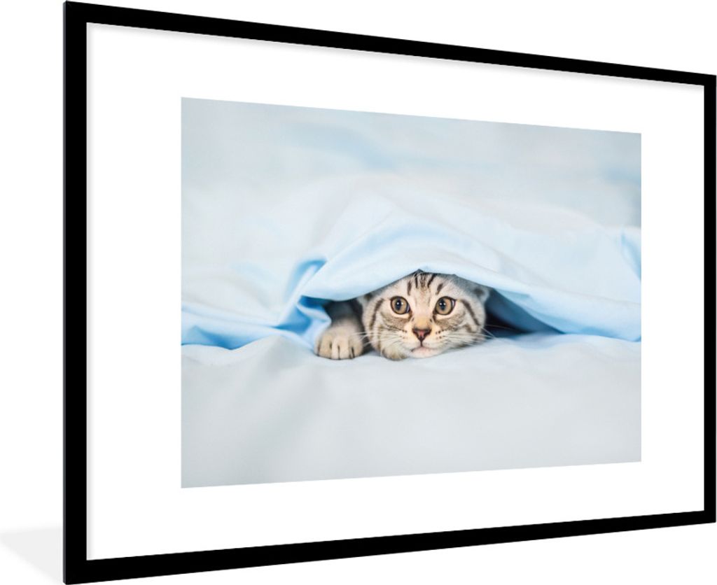 MuchoWow Gerahmtes Poster Ein Kätzchen unter einer Decke 90x60 cm - Poster mit Schwarzem Bilderrahmen Wandposter Rahmen Foto Bilder - Wanddekora...