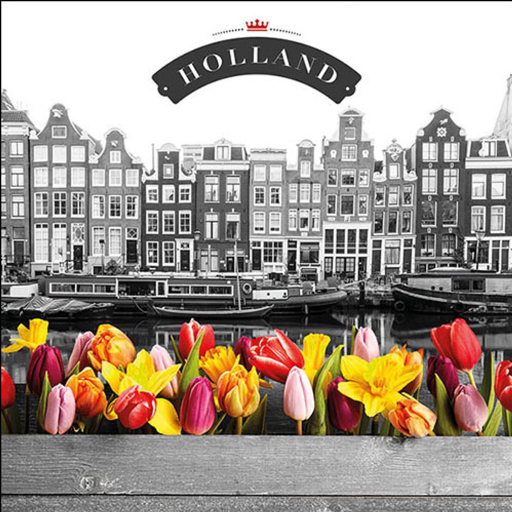 Servietten Lunch – Napkin Lunch – Format: 33 x 33 cm – 3-lagig – 20