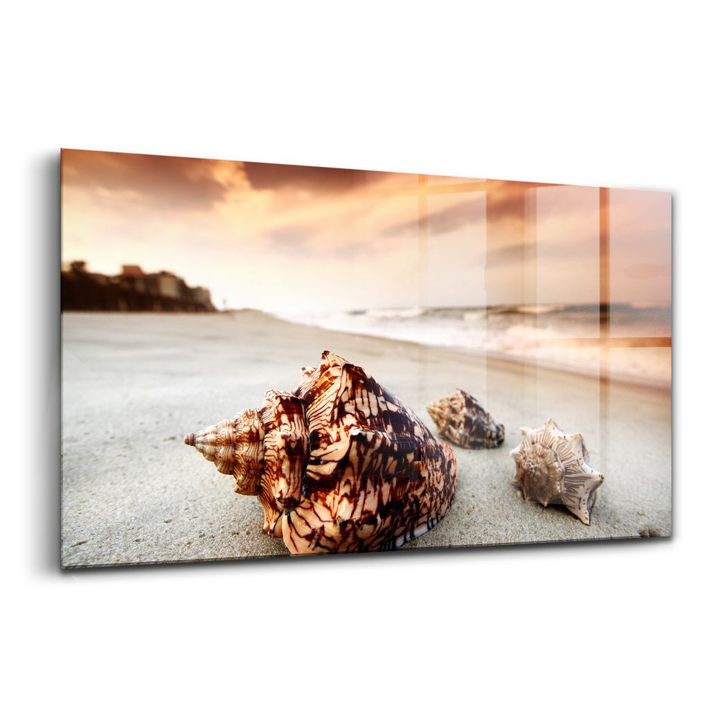 Glasbild - dekorative Malerei - moderne Malerei - 100x50 - Strandmuschel