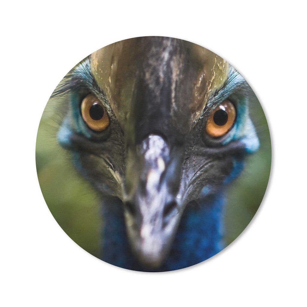 MuchoWow Mauspad Mousepad Nahaufnahme eines Kasuars 20x20 cm - Mousepads - Maus Mat - Pad - Mausunterlage - Schreibtischmatte