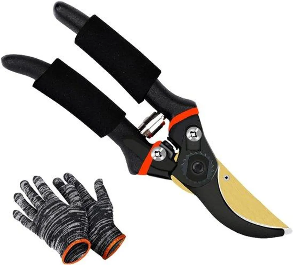 Sécateur pour taille de rosiers et arbustes avec gants de protection