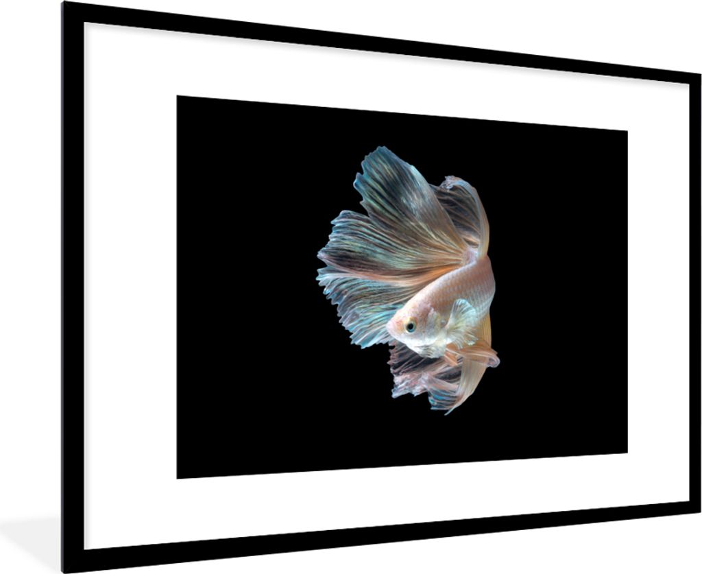 MuchoWow MuchoWow Gerahmtes Poster Fisch - Schwanz - Schwarz 90x60 cm - Poster mit zchwarzem Bilderrahmen - Wanddekoration - Fotos