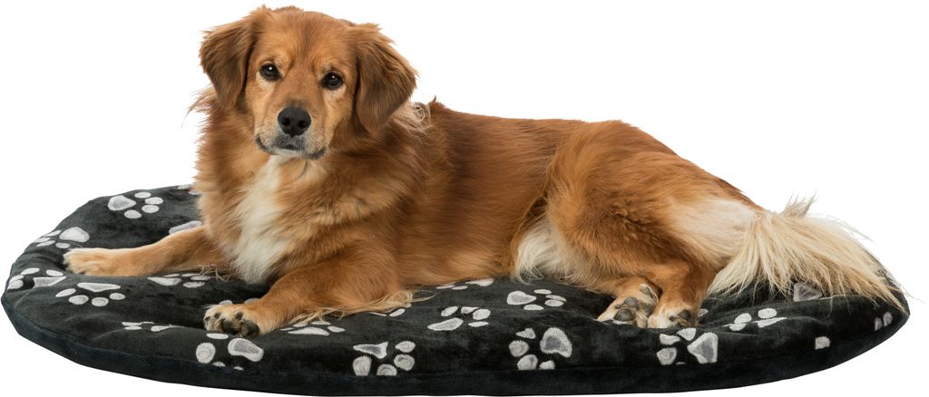 Trixie Hundekissen Jimmy Oval Schwarz mit Pfotenabdruck Produktbild 