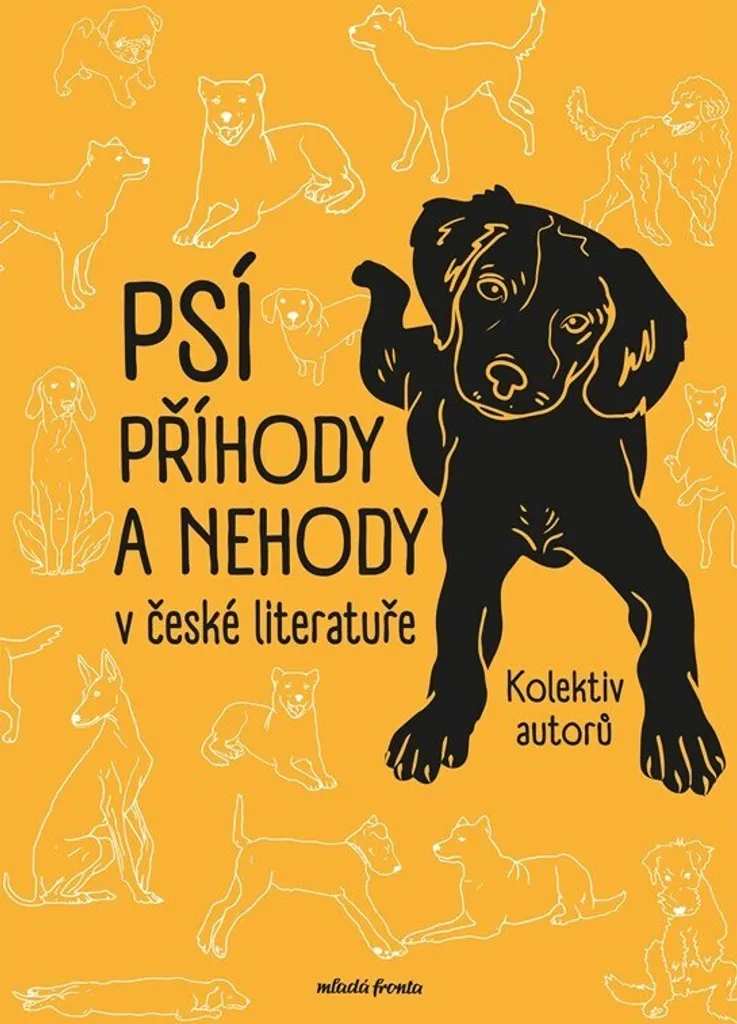 Roman tchèque authentique de Bára Pospíšilová pour les passionnés