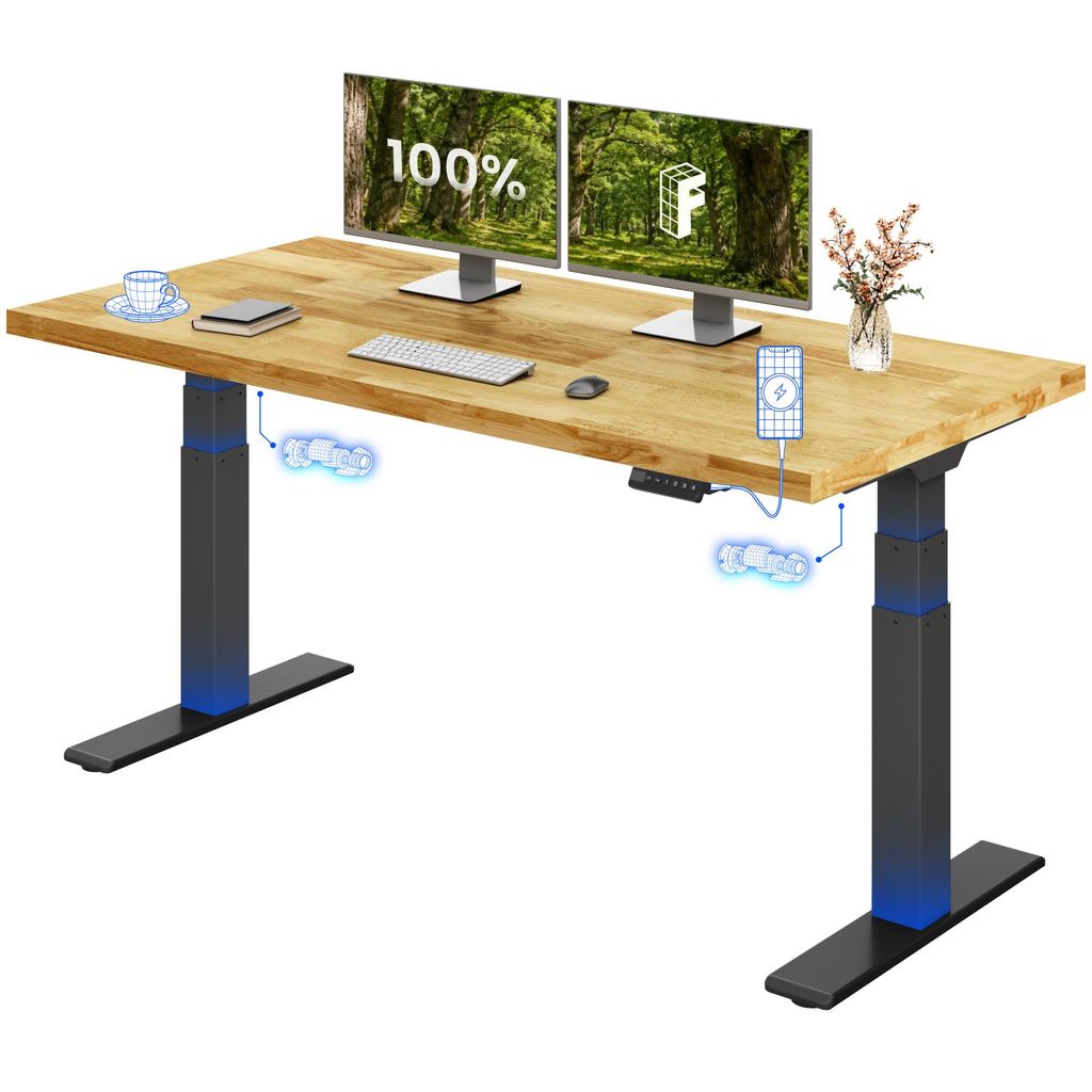 FLEXISPOT E200 Höhenverstellbarer Schreibtisch 160x80cm, Produktbild 