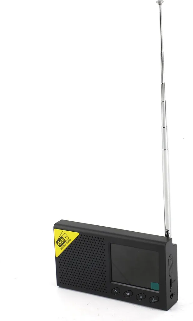 Radio Portable DAB+ sans Grésillement avec Bluetooth et Son Stéréo Net