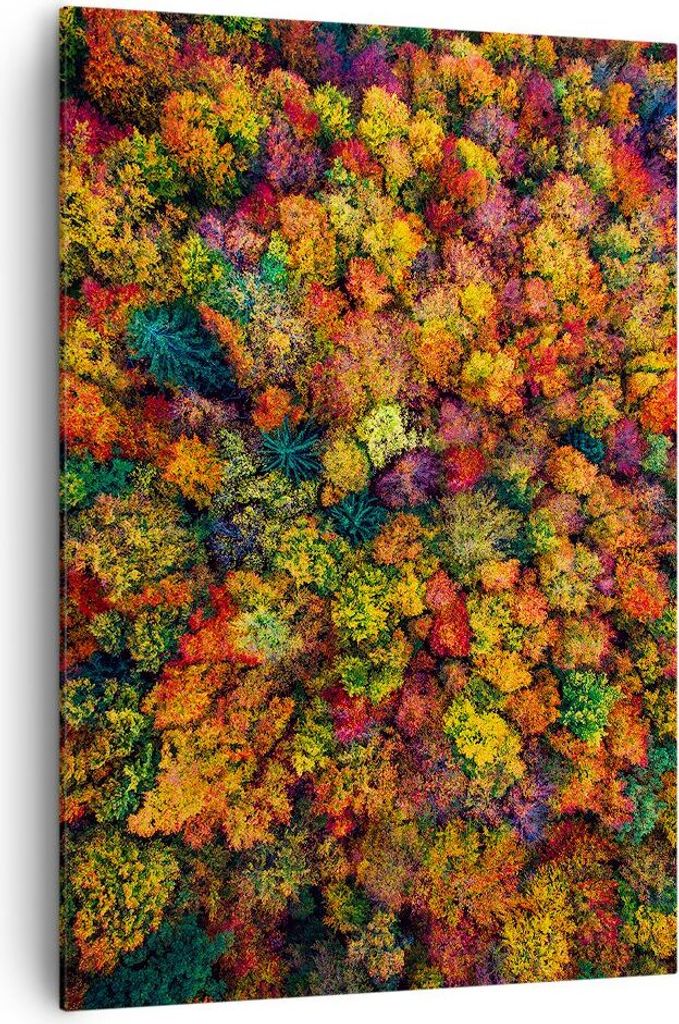 Bild auf Leinwand - Leinwandbild - Einteilig - Herbst Perspektive Vogel - 70x100cm - Wand Bild - Wanddeko - Wandbilder - Leinwanddruck - Wanddekora...
