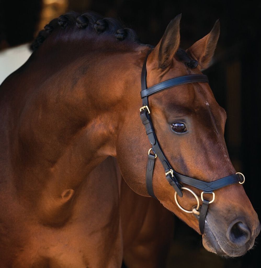 Horseware Ireland Zaum Micklem Rambo Multibridle Trense Produktbild