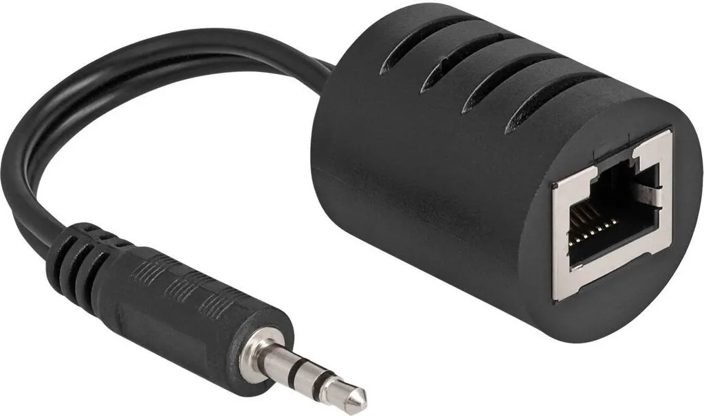 Extendeur Audio Stéréo Delock RJ45 vers Jack 3.5mm Femelle-Mâle - 2 Pièces