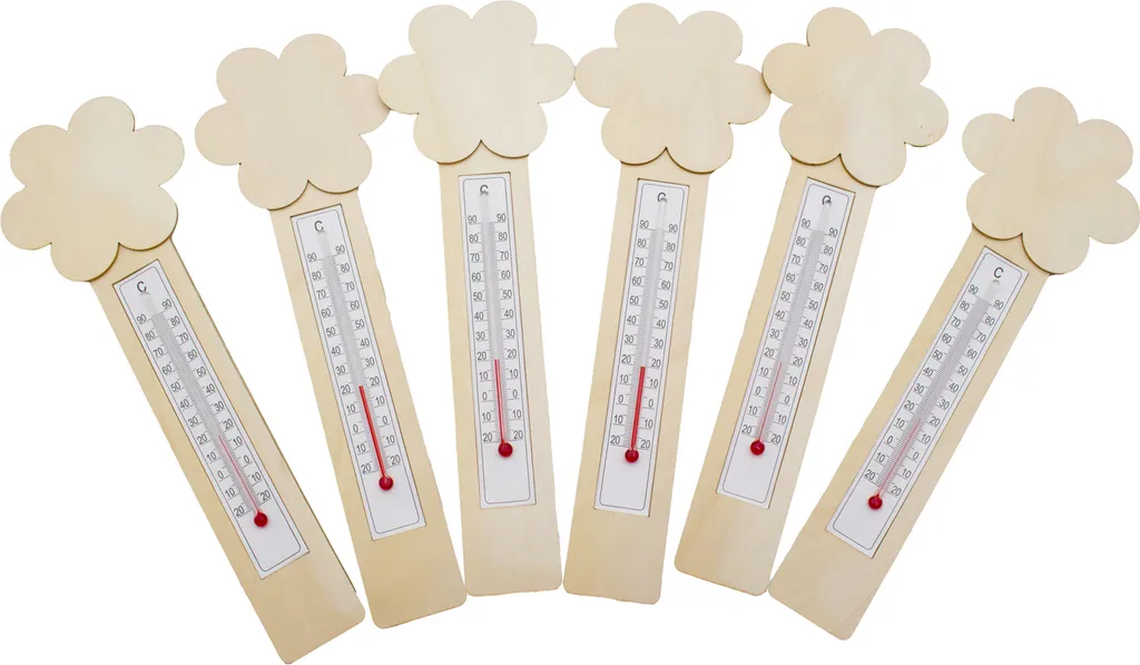 Comment Apprendre la Température en s'Amusant ? Kit 6 Thermomètres DIY