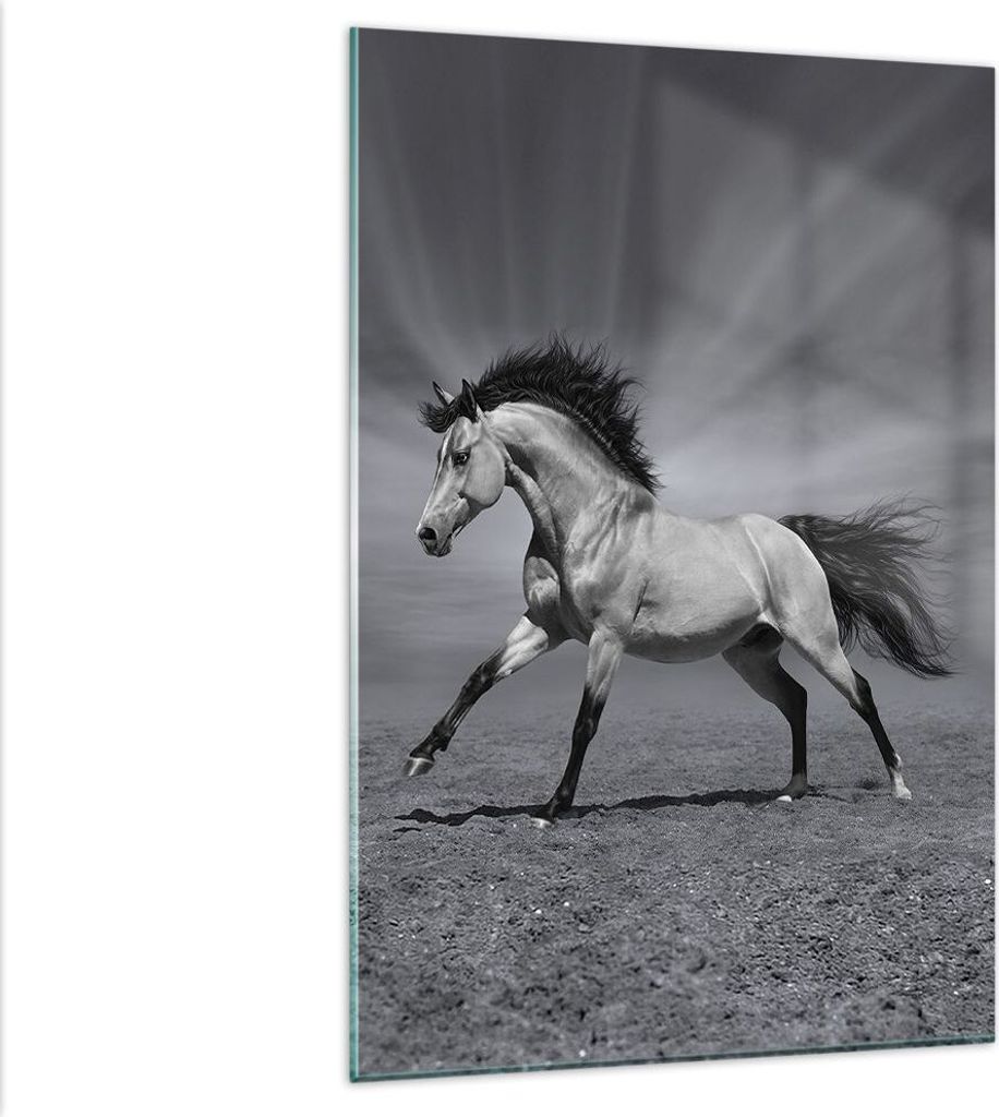 Bilder auf glas - Einteilig - Pferd Tier Natur - 80x120cm - Glasbilder - Wandbilder - Bilder - zum Aufhängen bereit - Wanddekoration aus Glas - Gl...
