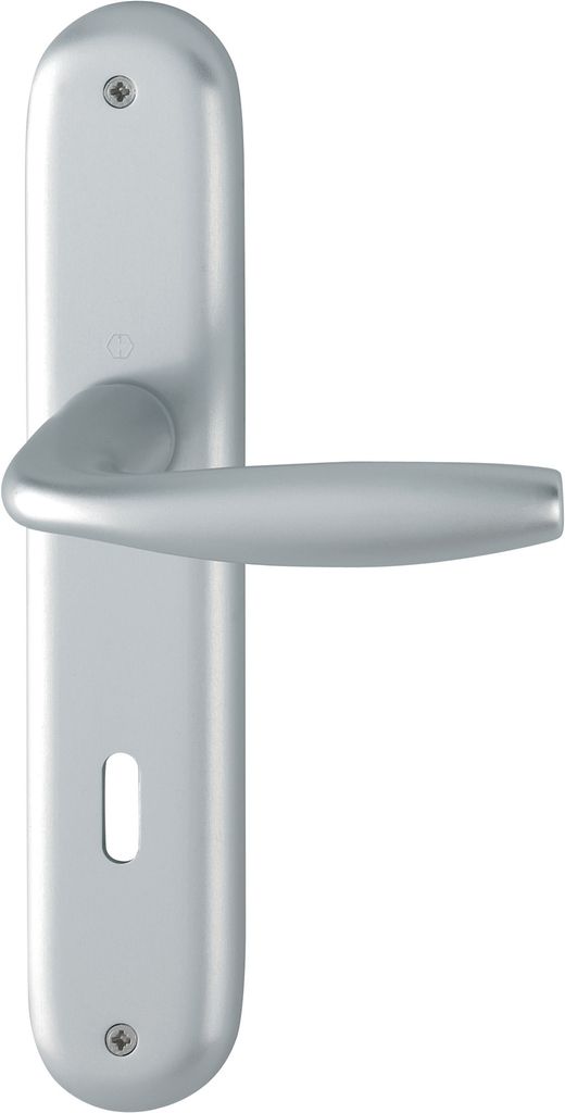 A silver door handle set on a white background.