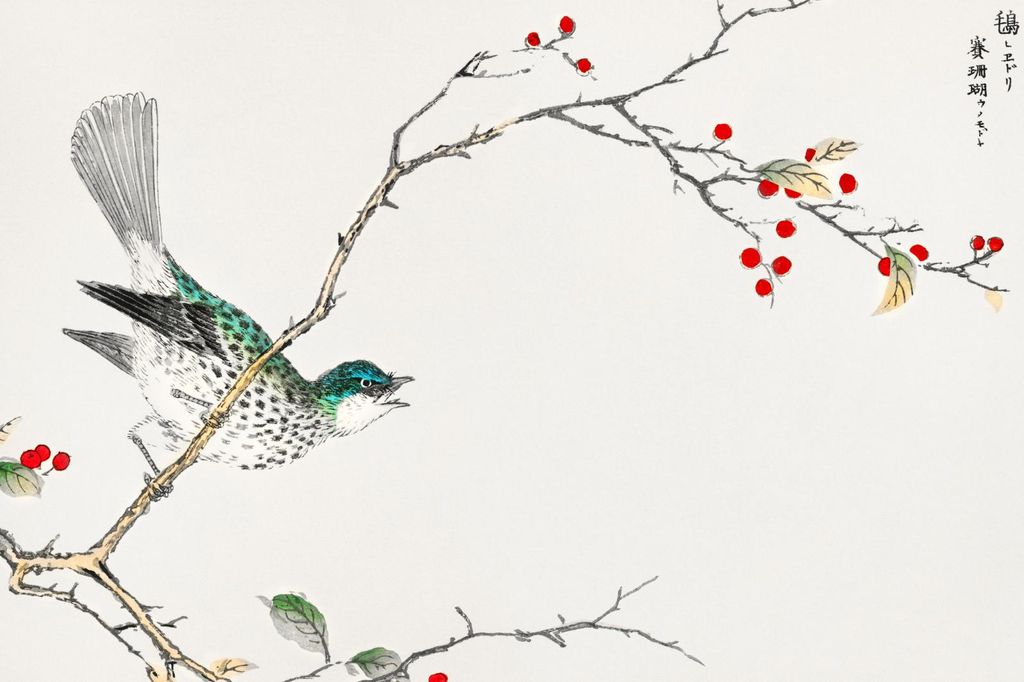 Plakat 60x40cm Braunohr-Bulbul, Kashu Vintage für das Wohnzimmer