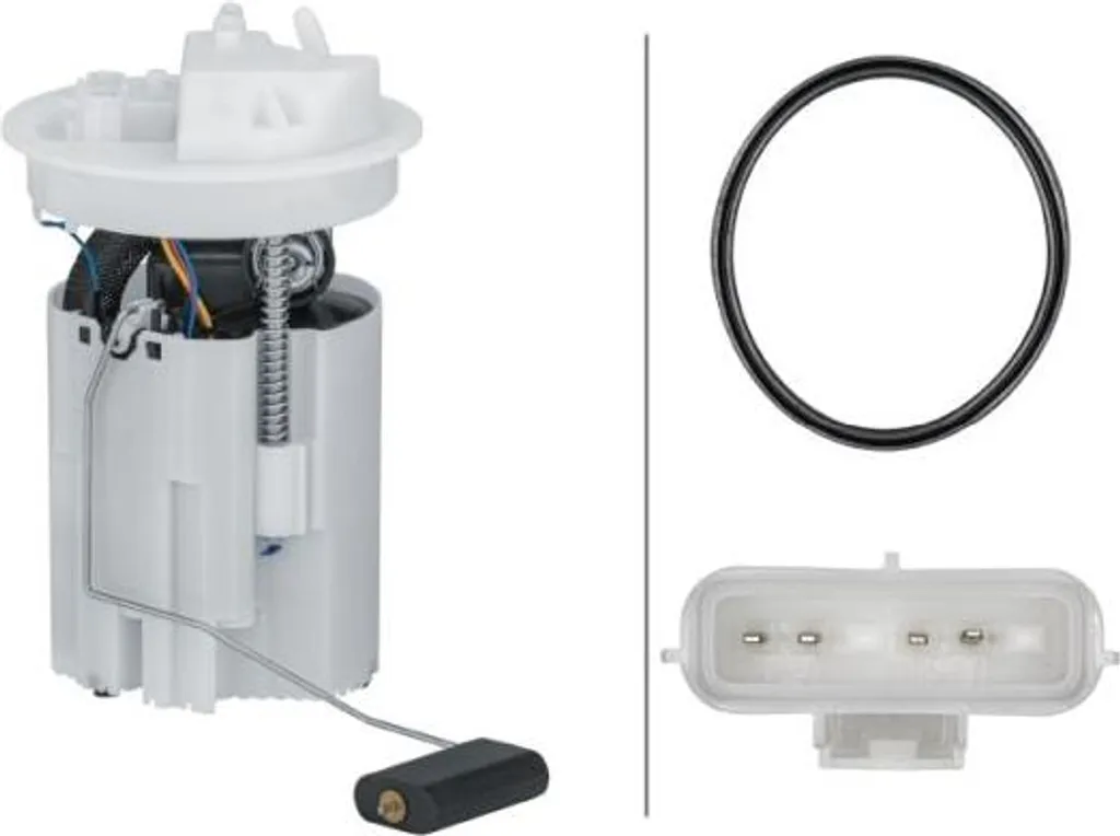 Pompe de gavage complète pour Fiesta - Système d'alimentation HELLA