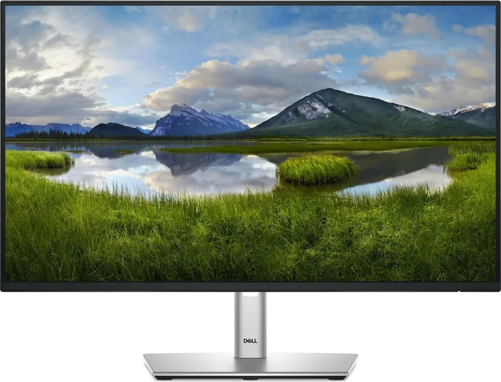 Écran Dell P2425HE 23,8 Pouces IPS FHD 100Hz avec Hub USB-C Intégré