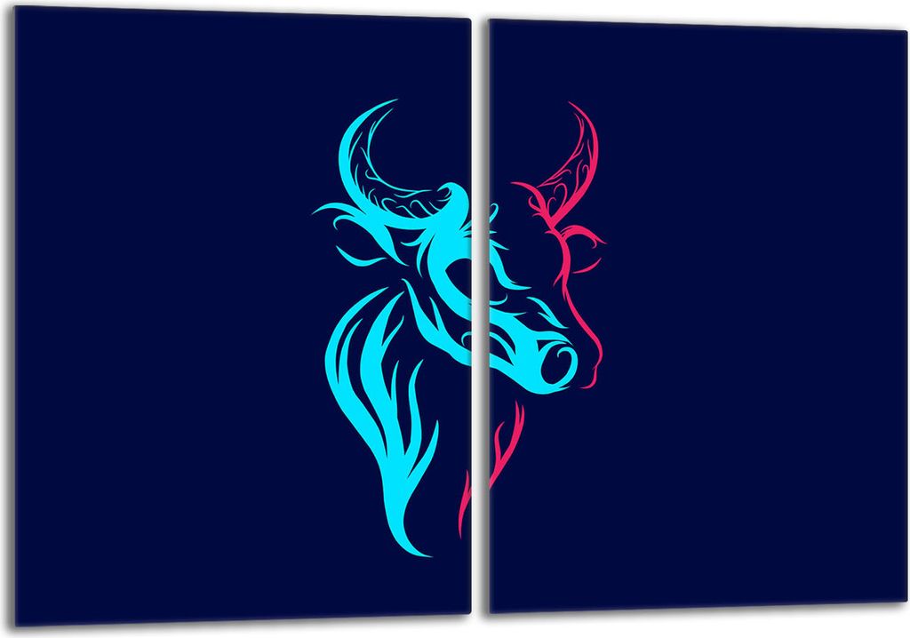 Glasschutzplatte für Herd 2x40x52 Byk