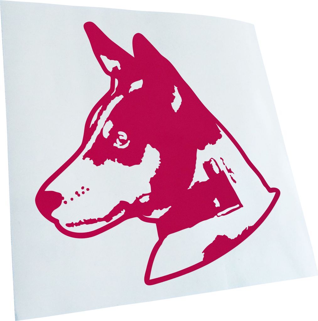 Kiwistar - Autoaufkleber - Basenji Hund - Neonorange - 11x10cm - Aufkleber für Auto, Laptop, Fahrrad, LKW, Motorrad mehrfarbig JDM Decal Racing