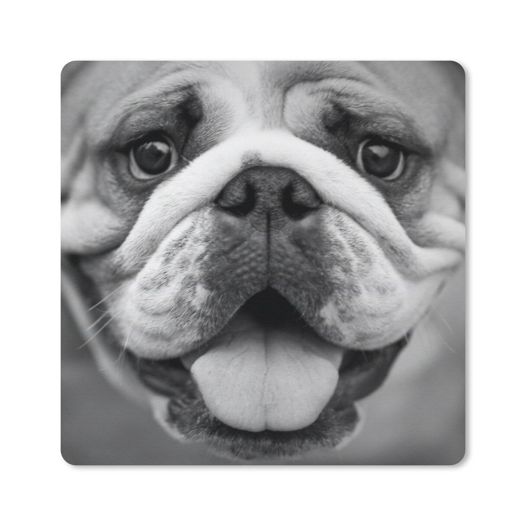 MuchoWow Mauspad Mousepad Tierprofil Bulldogge in schwarz und weiß 30x30 cm - Mousepads - Maus Mat - Pad - Mausunterlage - Gaming