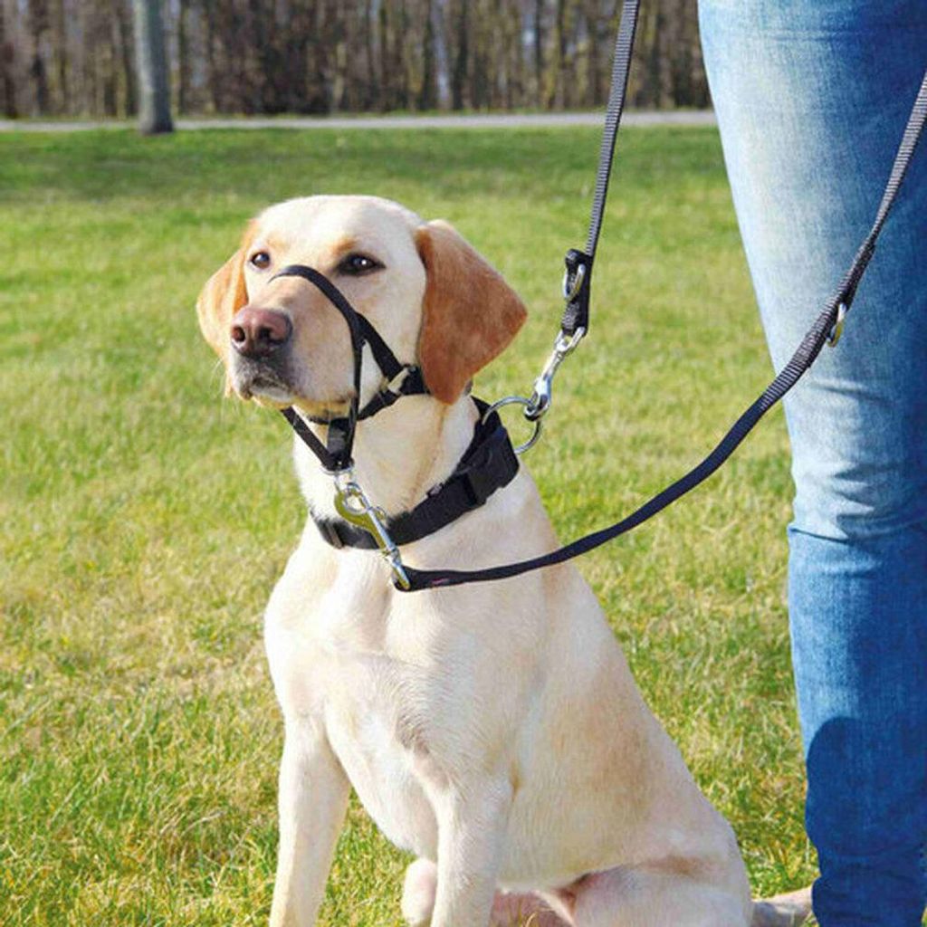 Trixie Dog Harness Top Trainer Anti-Pull Harness Black Image du produit 