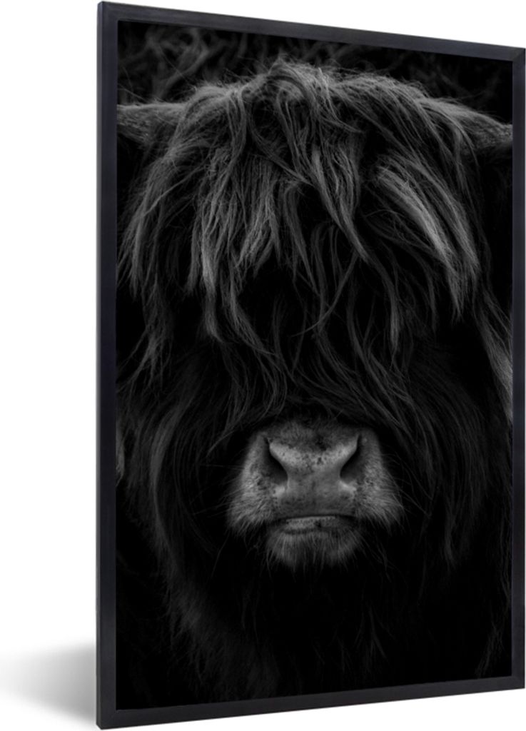 MuchoWow Gerahmtes Poster Schottischer Highlander - Kuh - Porträt - Tiere - Schwarz - Weiß 40x60 cm - Poster mit Schwarzem Bilderrahmen Wandpos...