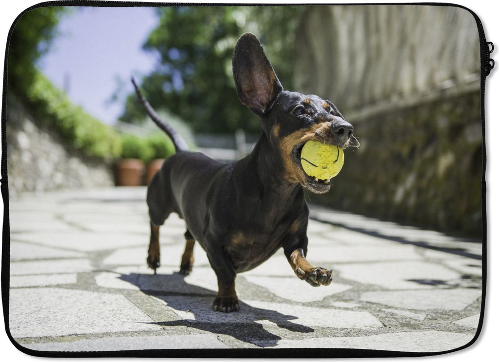 MuchoWow Laptop Hülle 13 Zoll Ein schwarzer Dachshund mit einem Tennisball Laptoptasche - Laptophülle - Sleeve - Rundumschutz