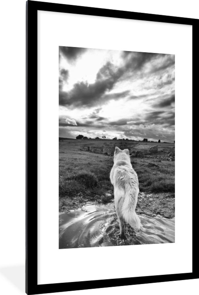 MuchoWow® MuchoWow® Gerahmtes Poster Wolf mit Blick auf die Produktbild 