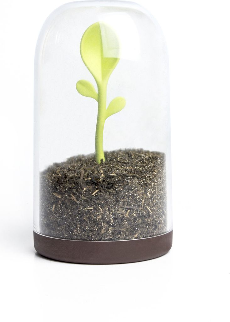QUALY Vorratsdose Kunststoff Teedose Kaffeedose mit Teelöffel Braun SPROUT JAR
