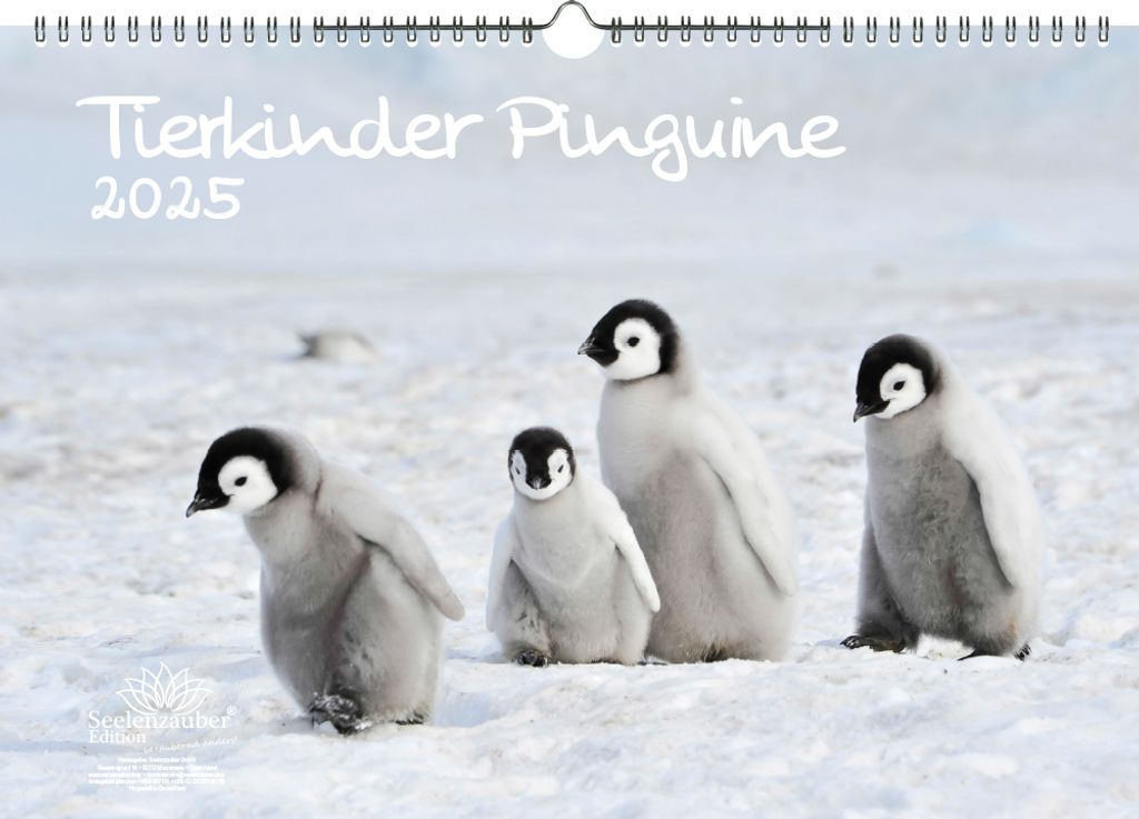 Tierkinder Pinguine DIN A3 Kalender für 2025 Pinguin - Seelenzauber