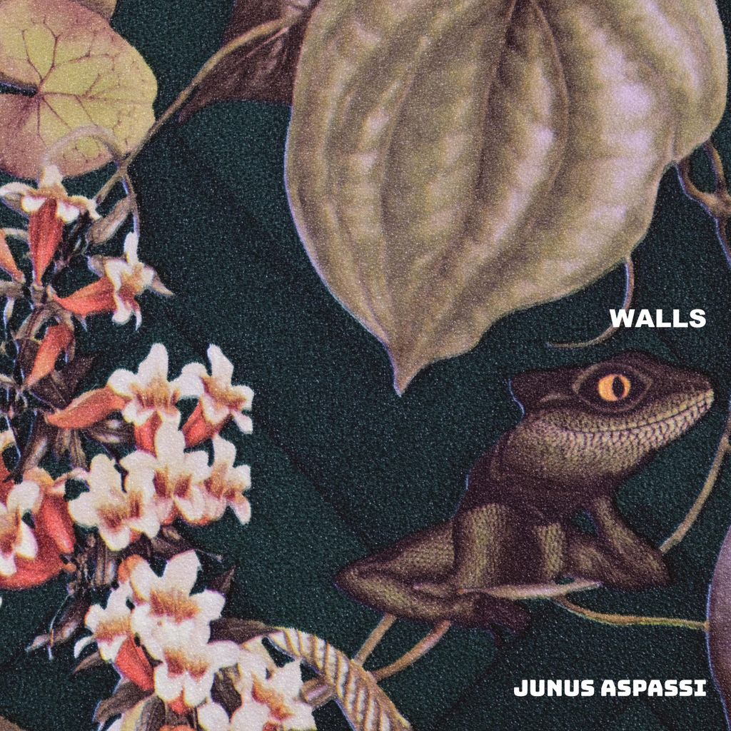 Fotobuch Walls von Junus Aspassi aus der Serie surfaces zum Thema Wände
